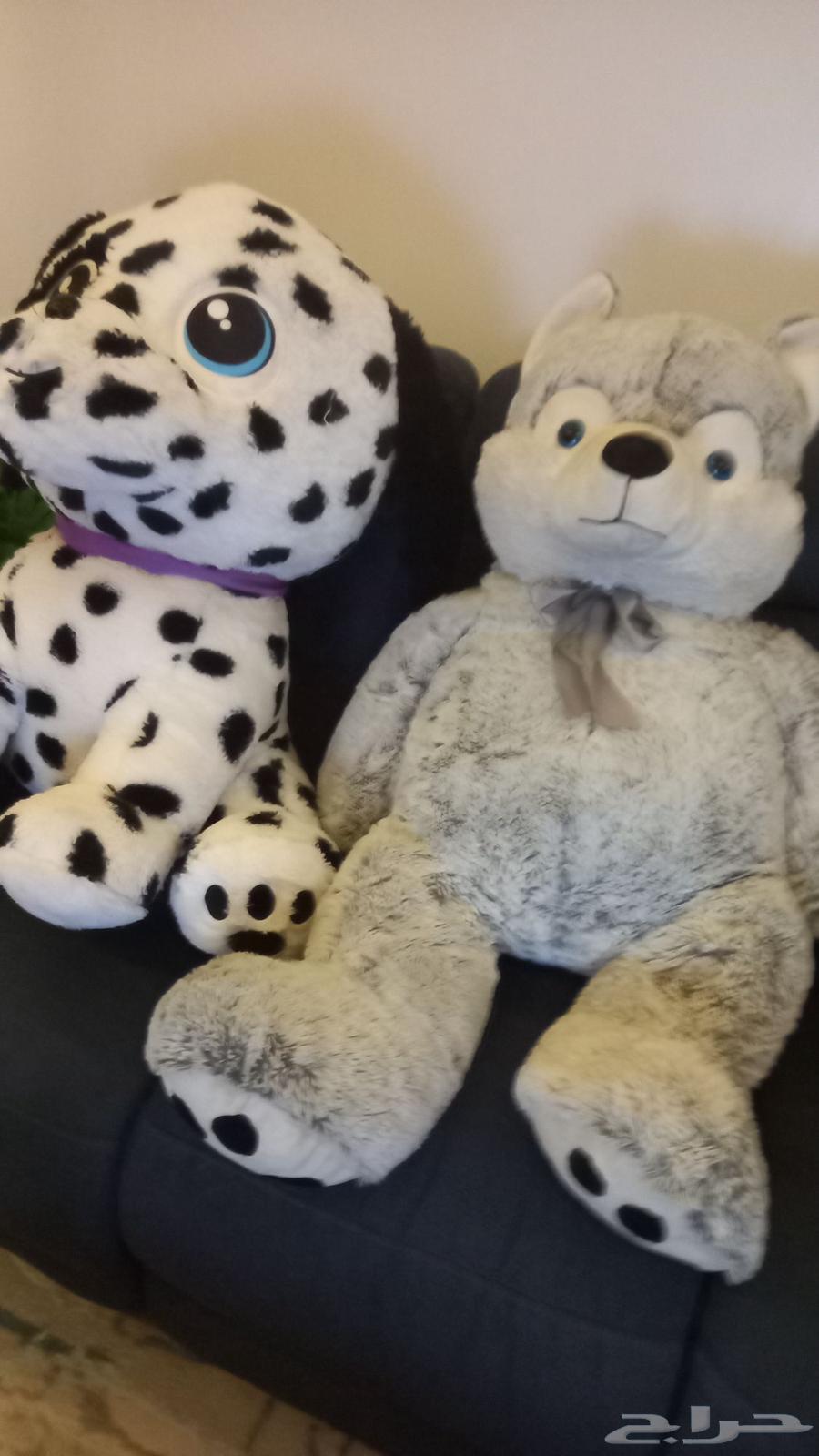 دباديب للبيع كبيرة الحجم64402105954305113