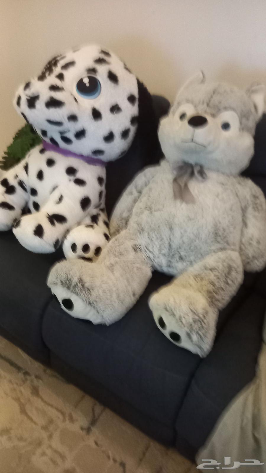 دباديب للبيع كبيرة الحجم64402105954305114