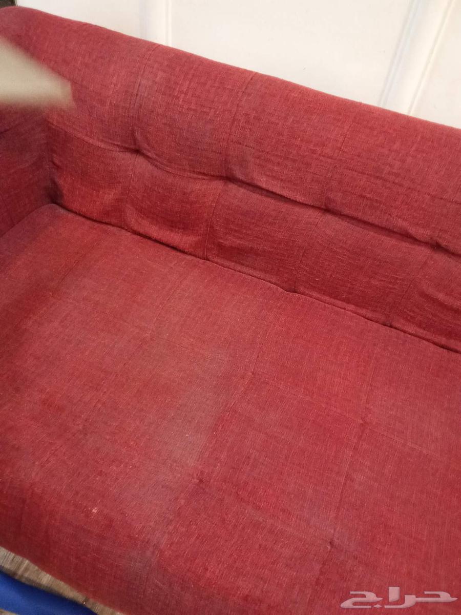Apartment Cleaning Company, Tank Cleaning, Pest Control63617931355137111