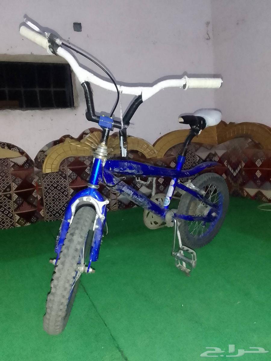 كوبرا مقاس 16 نظيفه 15064404750229891110