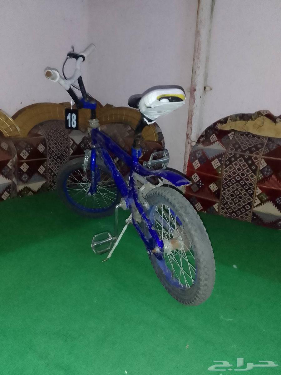 كوبرا مقاس 16 نظيفه 15064404750229891111