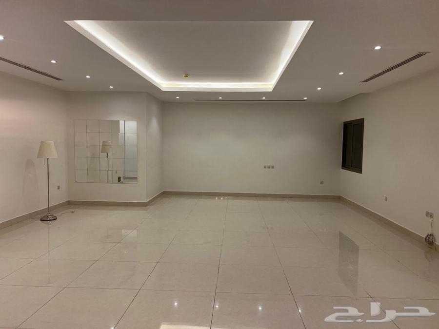 للبيع شقه بحي الحمرا الشبيلي مساحه 280 متر63614099661058113