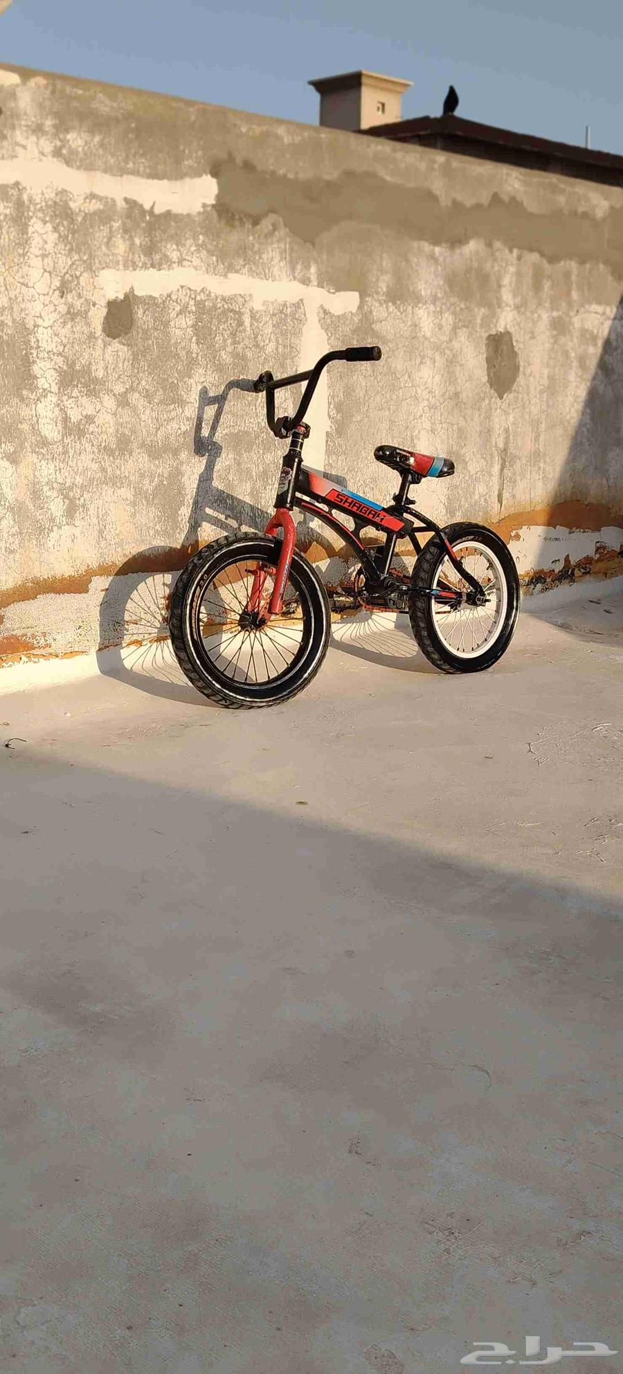 سيكل نضيف ب6064401994309377110