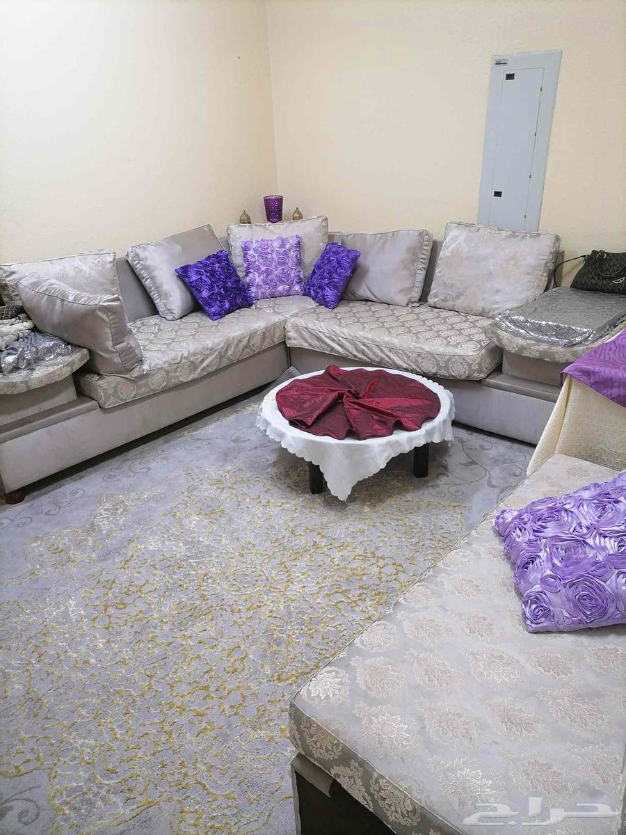 سجاد للبيع64404805960579110