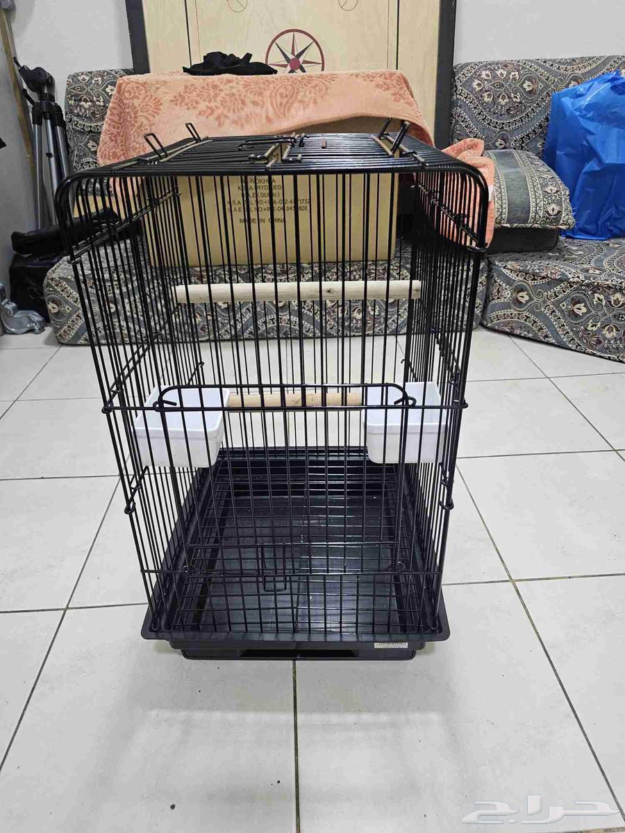 قفص طيور( تم البيع )64403633424770111
