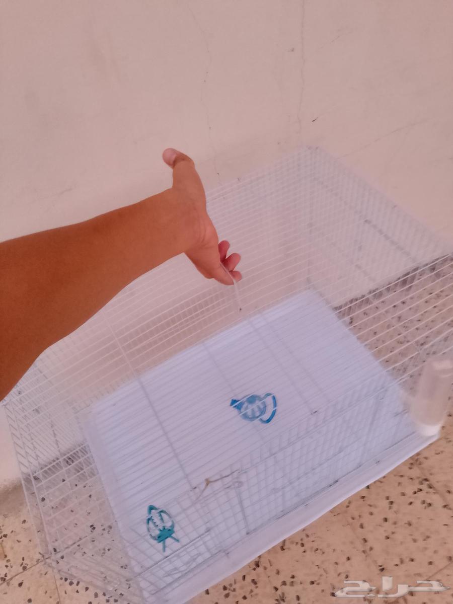 قفص كبير64403117353857111