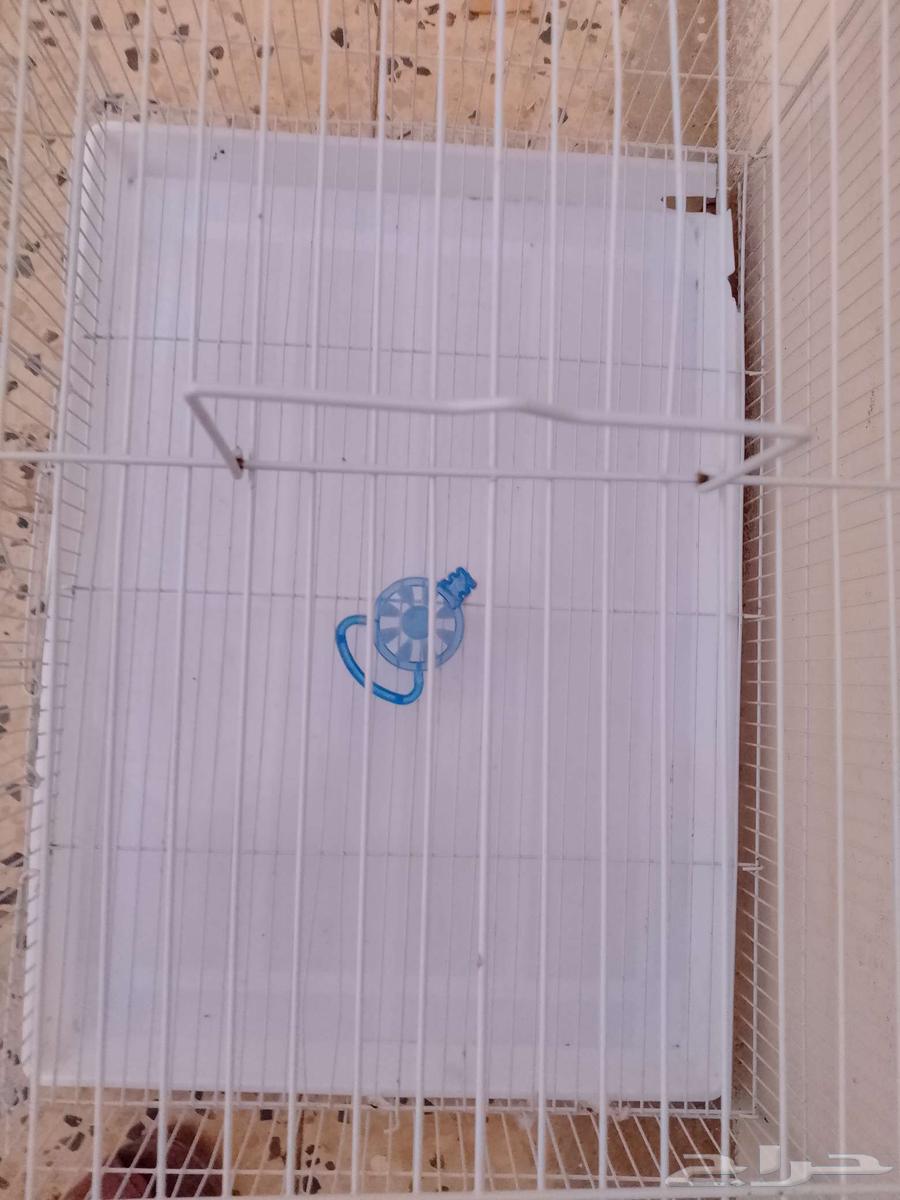 قفص كبير64403117353857112