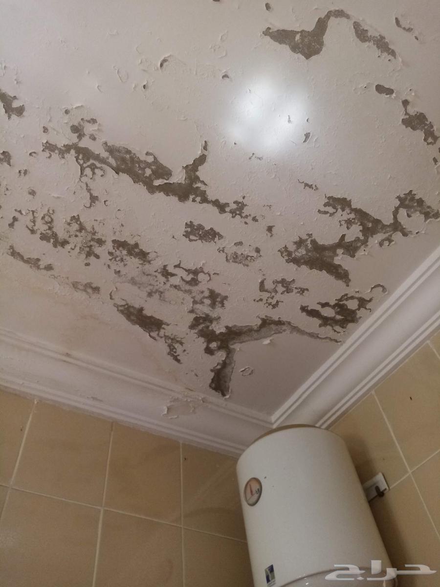 Water Leak Detection for Bathrooms, Tanks, Humidity, Roofs63617932965507113
