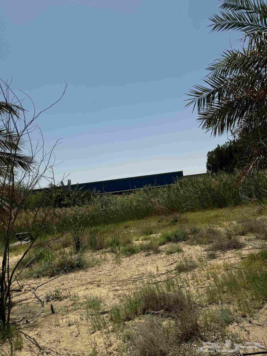 Agricultural land for sale in Jubail Industrial63614102298627113