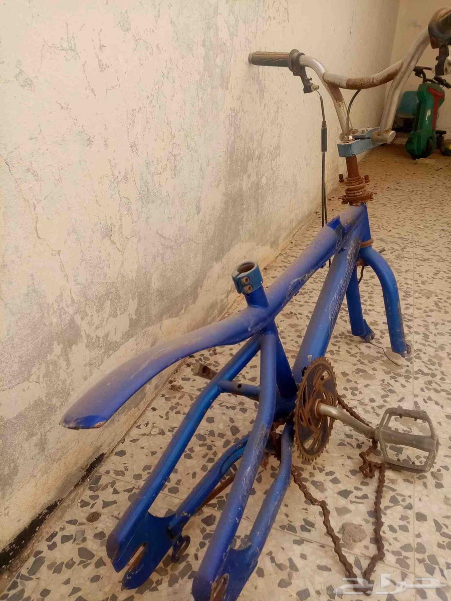 سيكل كوبرا64401550724737110