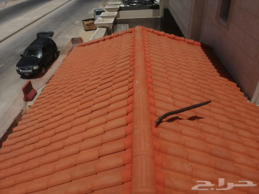 Execution of tile work by Alaa63617936822019112