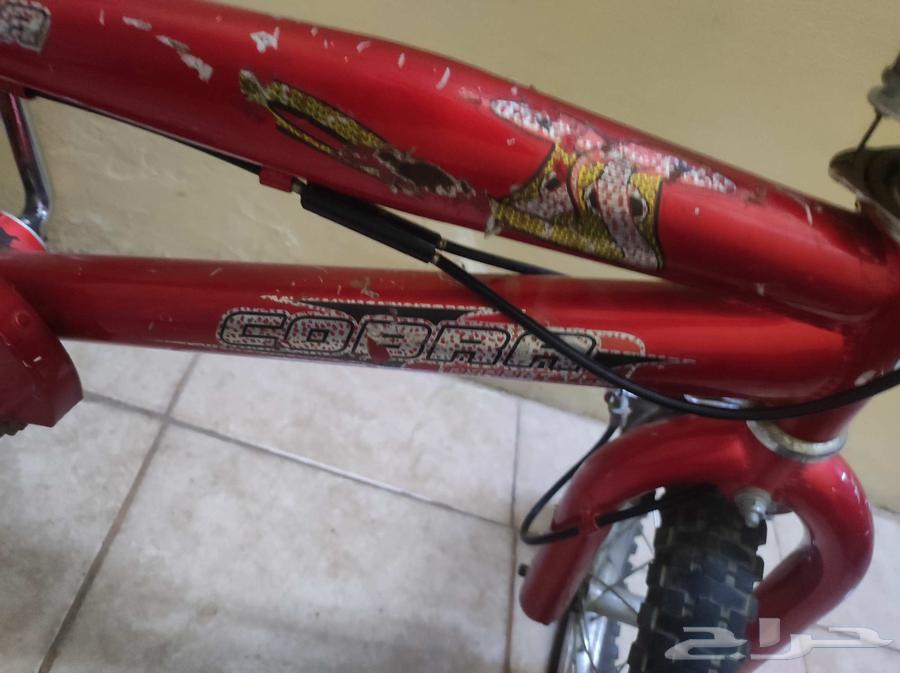 دراجه هوائية مقاس 14 النوعيه اصلي من ماركة كوبرا64401439256578110