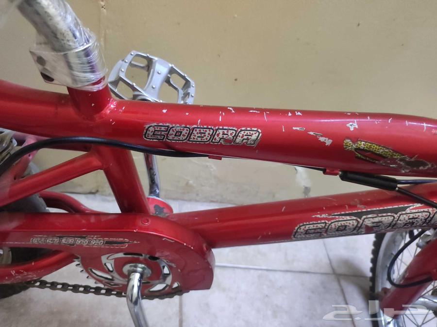 دراجه هوائية مقاس 14 النوعيه اصلي من ماركة كوبرا64401439256578111