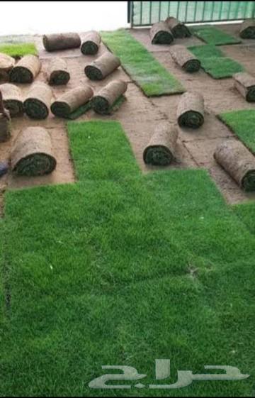 تيل طبيعي سي 200064401452949507114