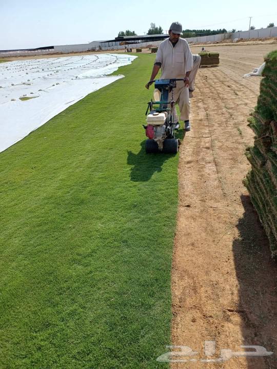 تيل طبيعي سي 200064401452949507111