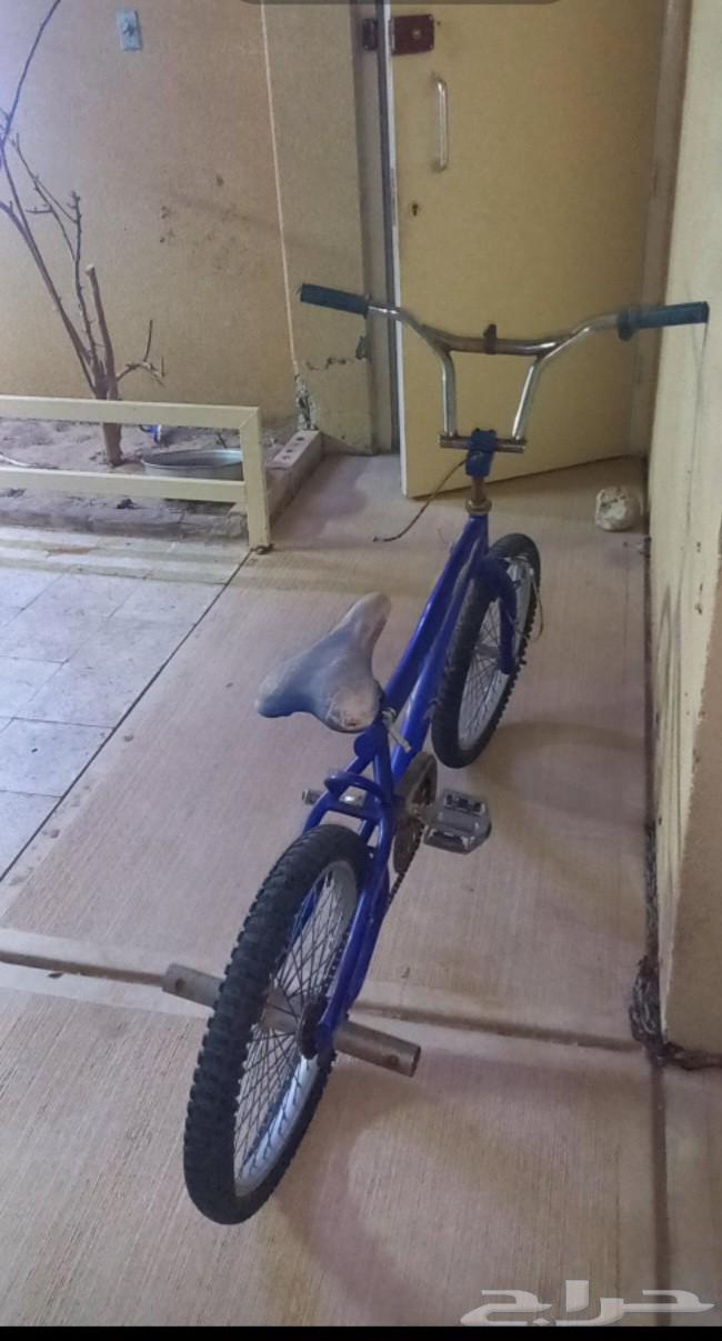 سيكل كوبرا64404722679937110