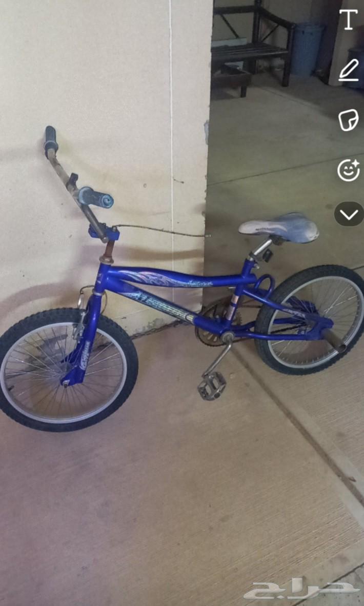 سيكل كوبرا64404722679937113