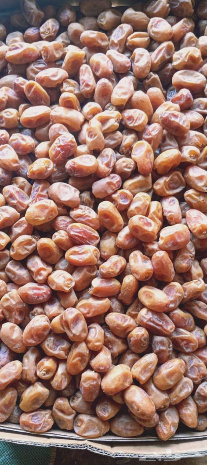 تمور خلاص ومشكلات وصقعي وخضري64403696724739110