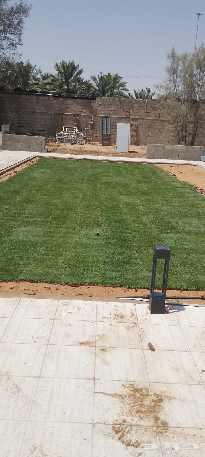 Thil C 2000 Al-Qassim63619553140993114