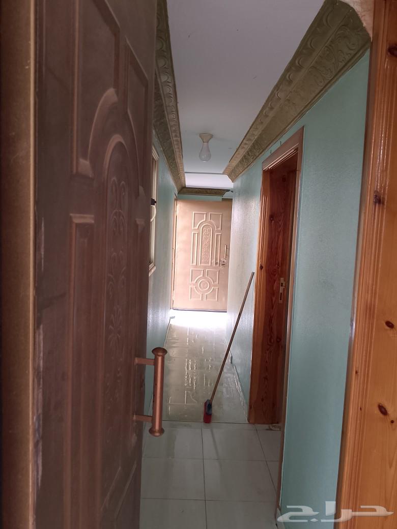 شقه اجار حي الموظفين63614102371203112