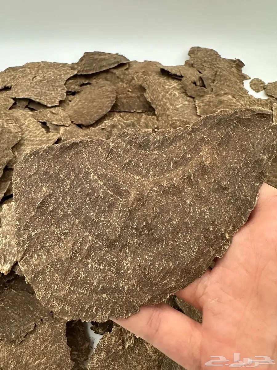 عود هندي جار ويسمى تشار نجلاند64403930433795110