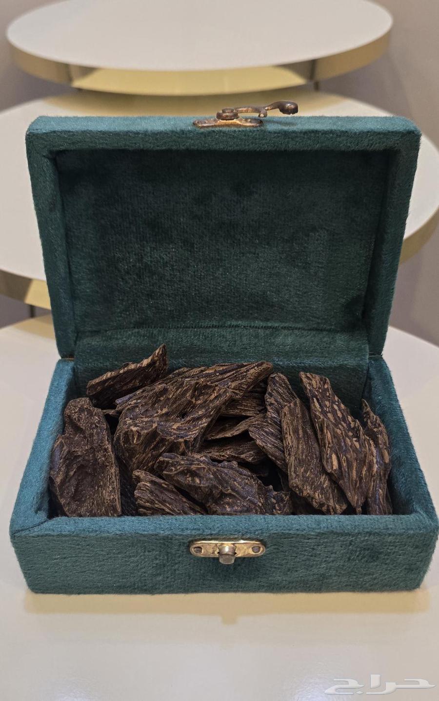 عود كلمنتان عرض تصفية64402472765186111