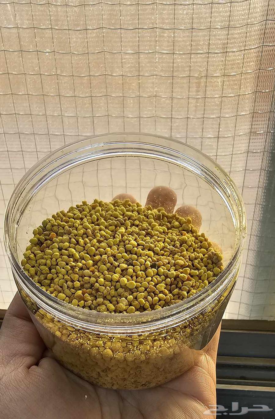 حبوب لقاح النحل سعودي بريه64404000226434111