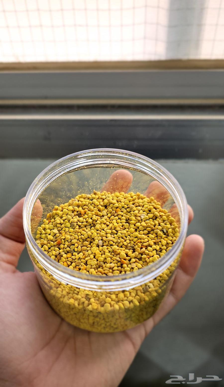 حبوب لقاح النحل سعودي بريه64404000226434112
