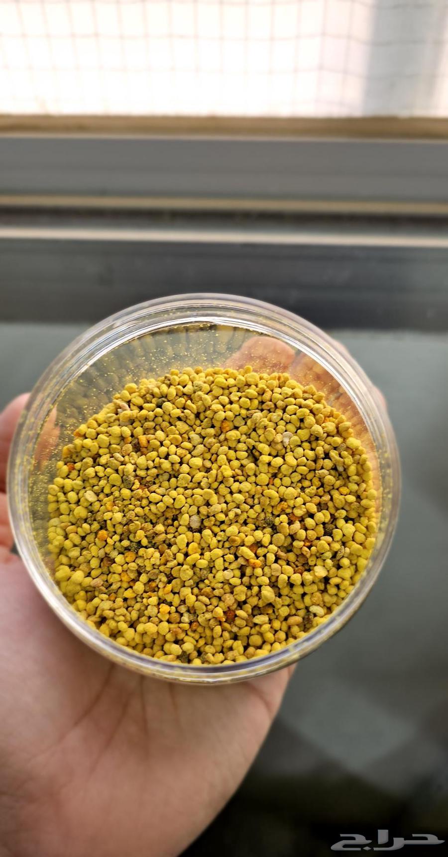 حبوب لقاح النحل سعودي بريه64404000226434113