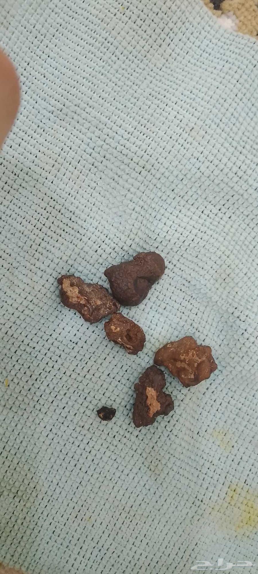 الرياض64401619889667111