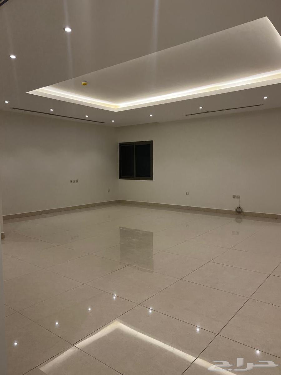 للبيع شقه بحي الحمرا الشبيلي مساحه 280 متر63614099661058111