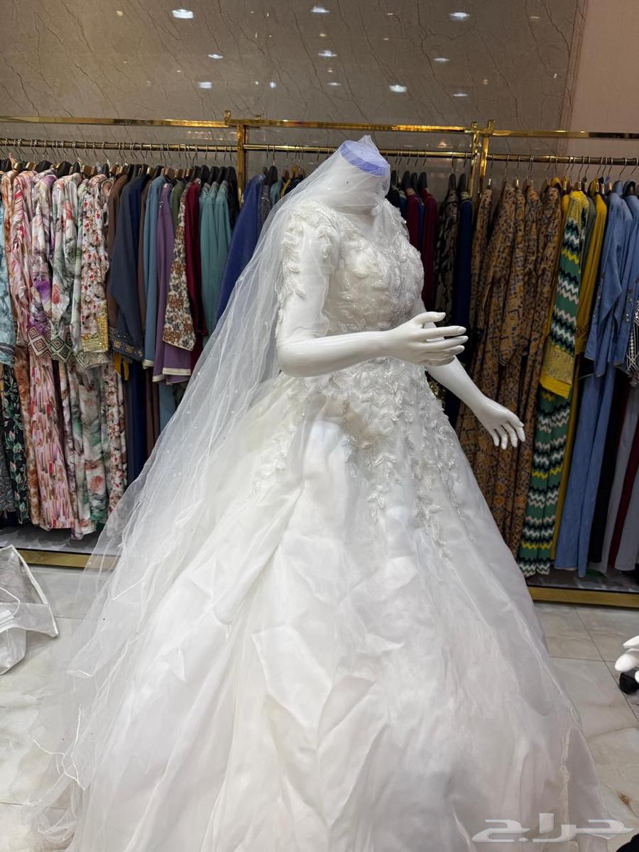 Al-Taif64402595254657110