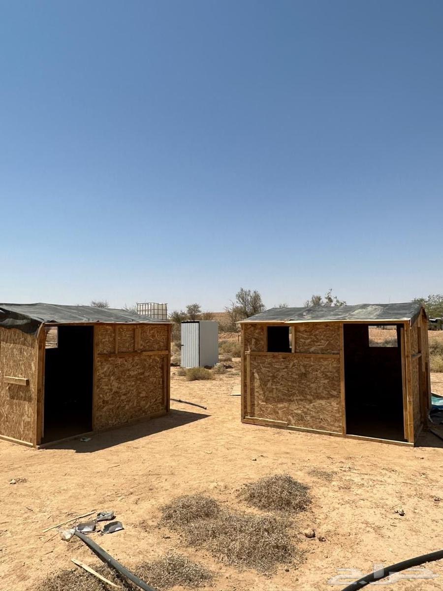 غرف خشب صناديق خشب64402706421635110