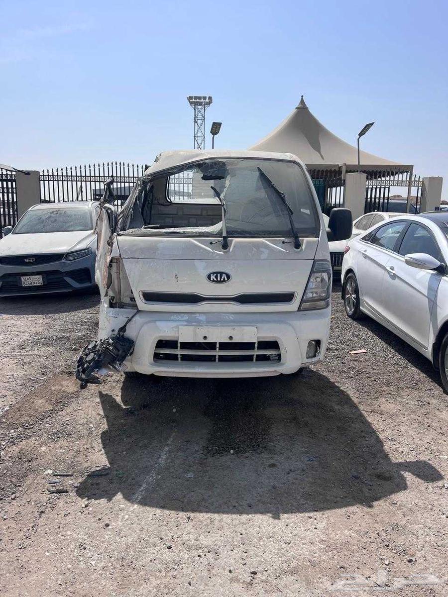 Dina Kia 202163618264849282111