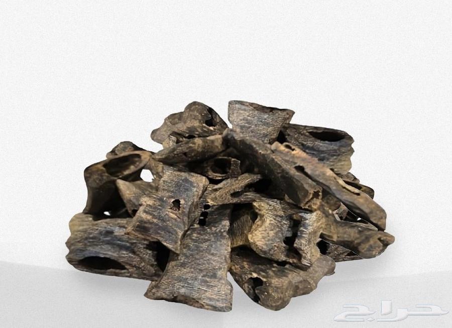 عود كينام الصيني طبيعي 10064466989505665110