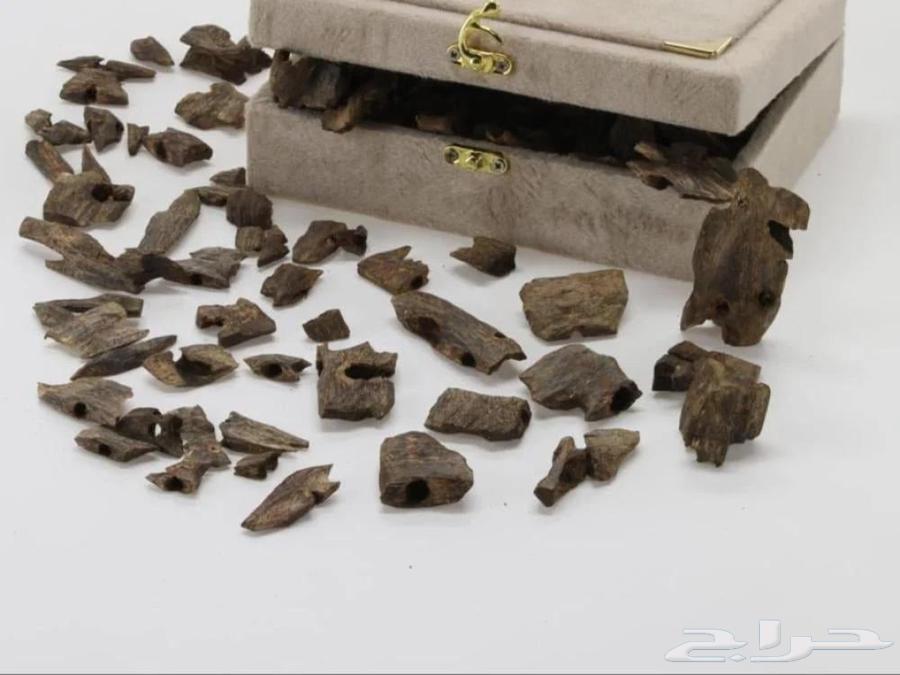 عود كينام الصيني طبيعي 10064466989505665111