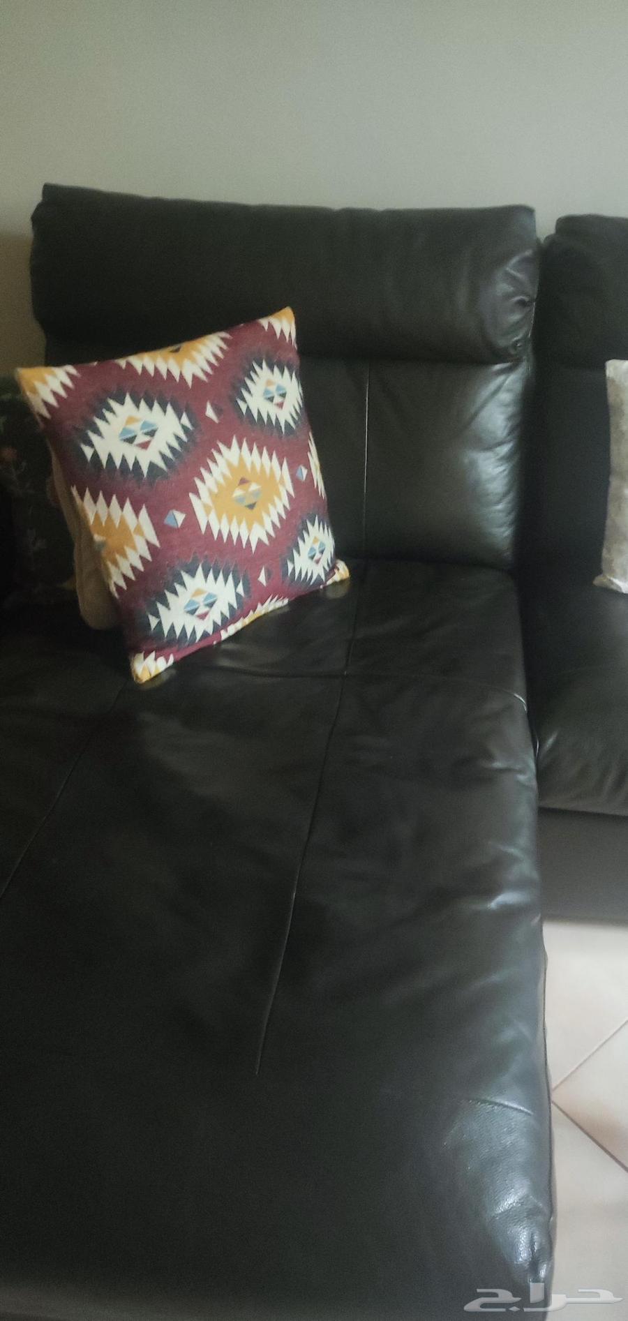 كتب جلد اسود64466165038211112