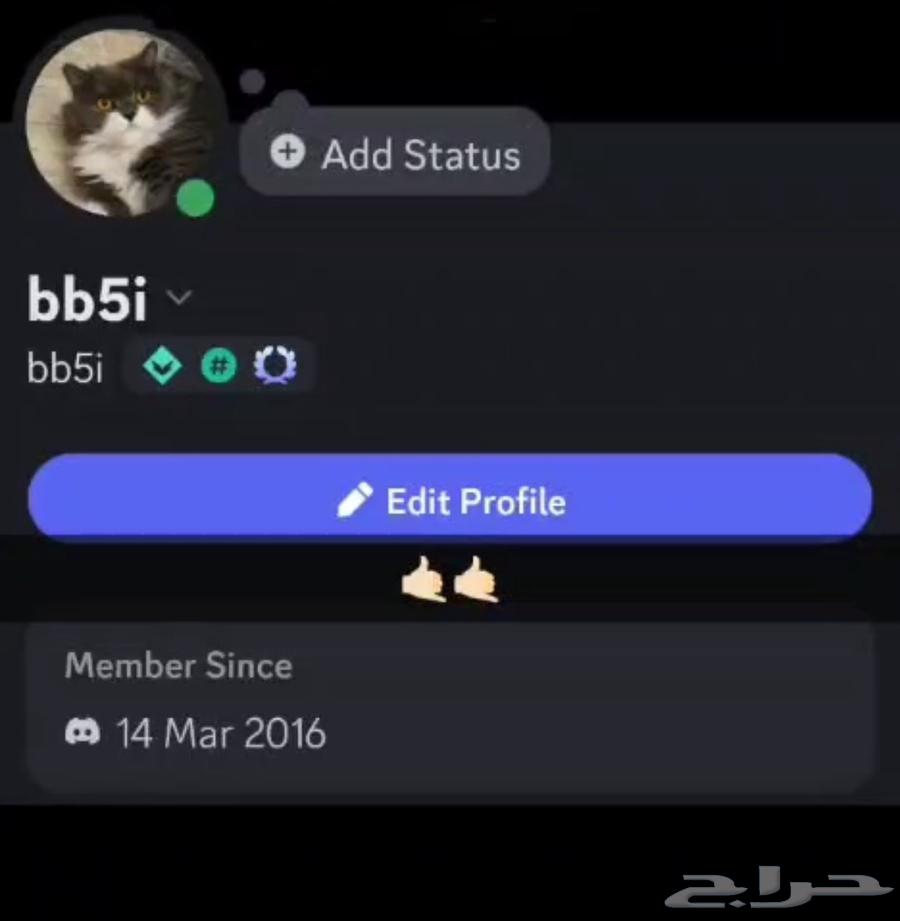 Premium Quad Discord Account Created in 201664471389014146110