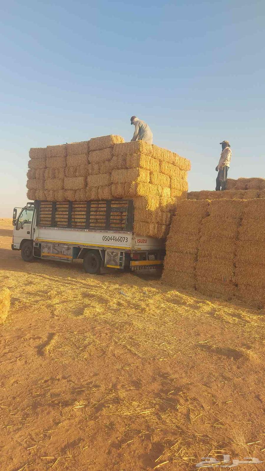 I became distinguished with the available tip64470897158273111