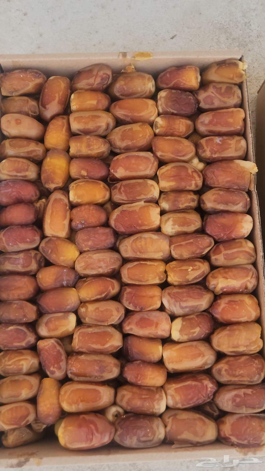 Saqi Dates64470648994179111