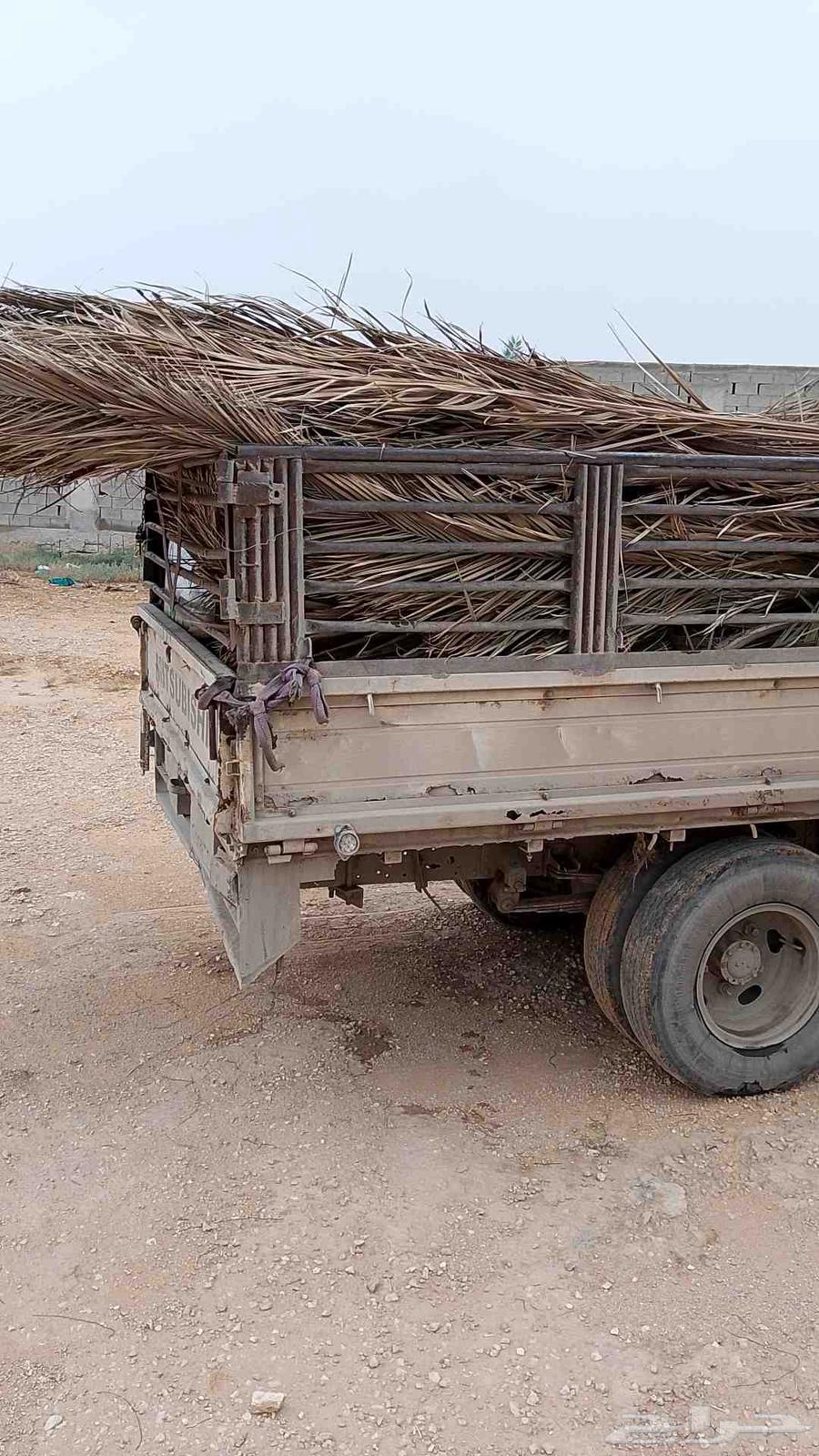 للبيع سعف النخيل64468566634369110