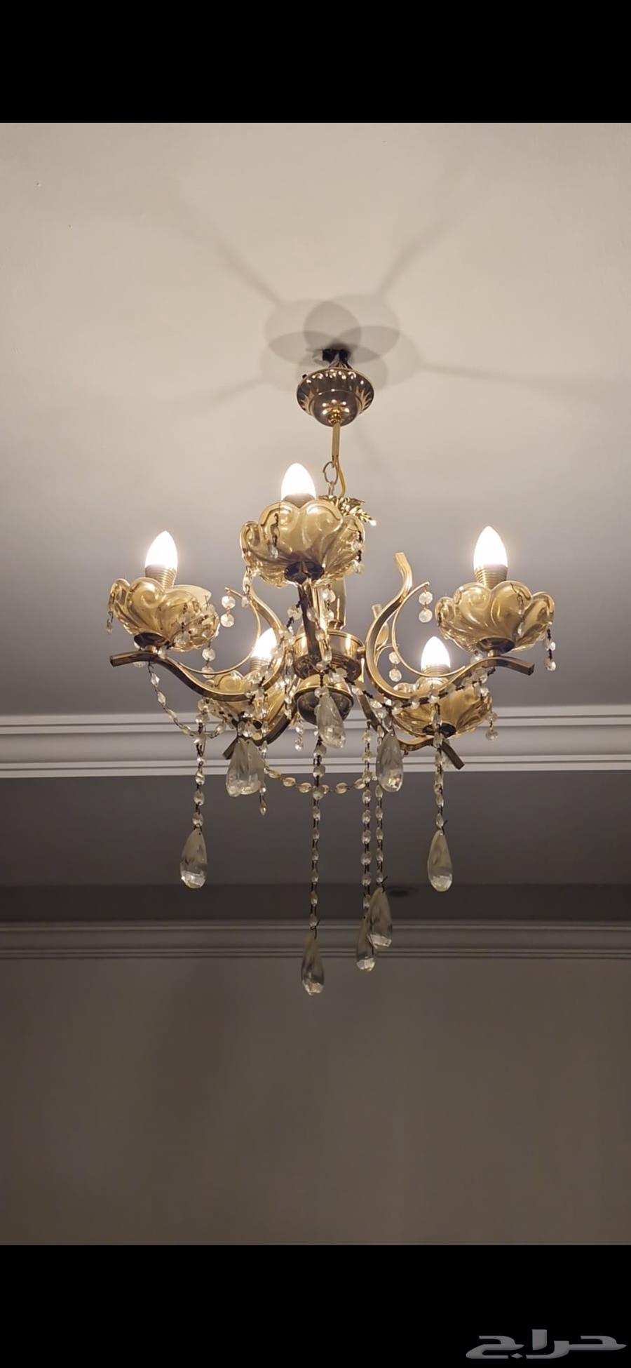 سعر خاص للجاد اللي حيشتري اليوم64464548867586111