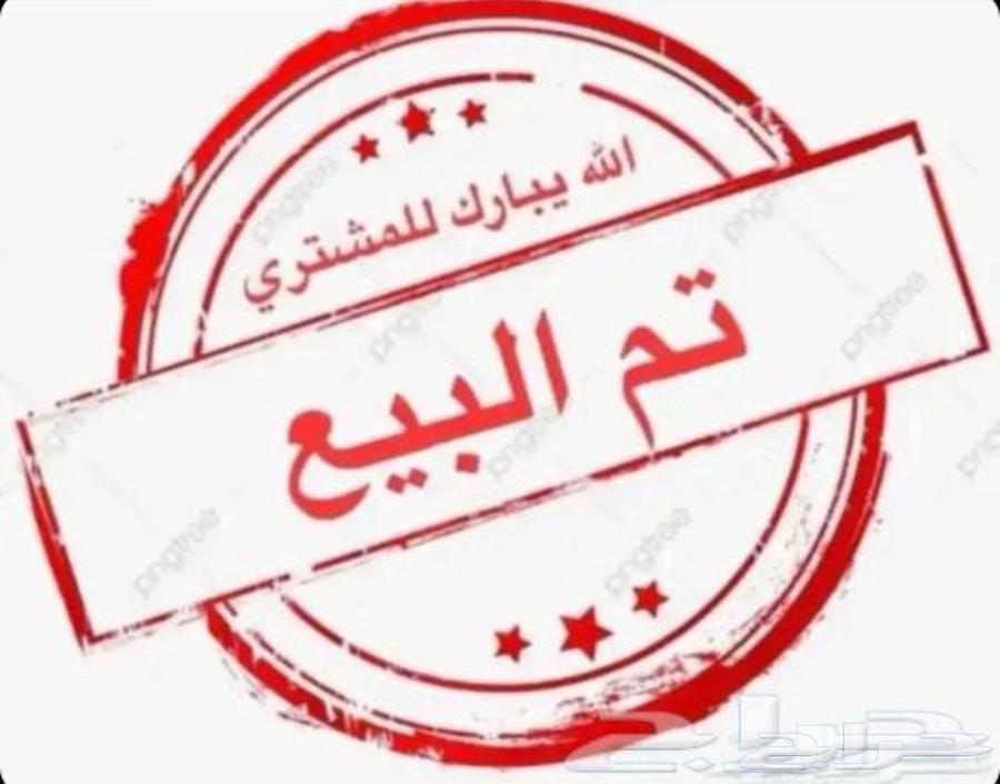 طيور بادجي64463641424771110