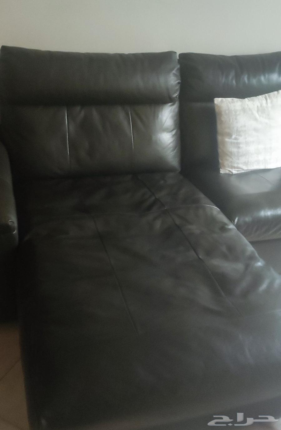 كتب جلد اسود64466165038211111