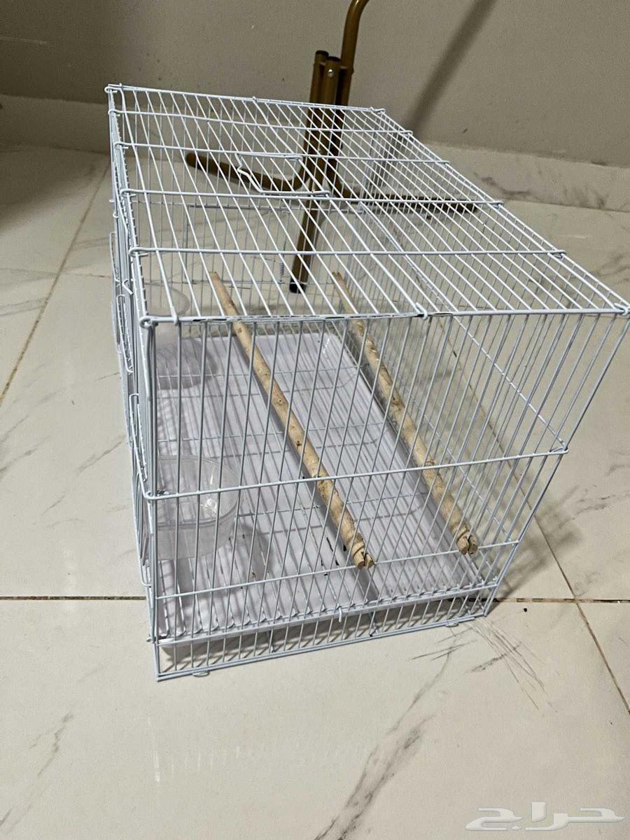 السلام عليكم ورحمه الله وبركاته للبيع. استاند وفقص64465660955777110