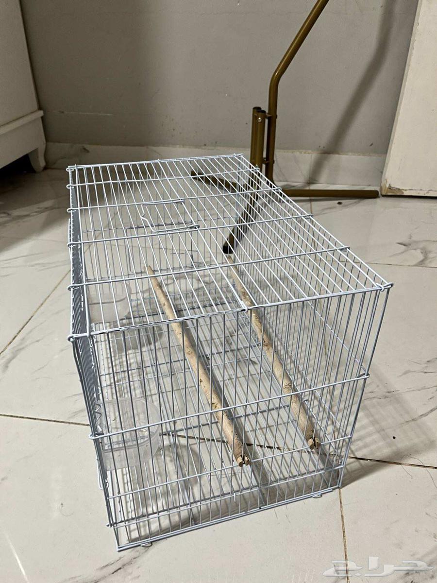 السلام عليكم ورحمه الله وبركاته للبيع. استاند وفقص64465660955777112