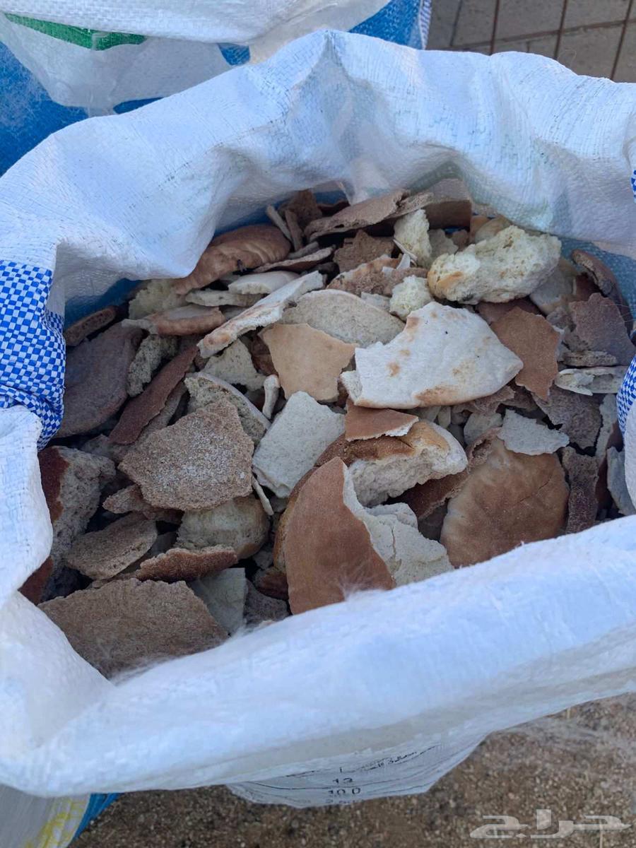 خبز ناشف ومكسر جاهز للبيع64464803663361110