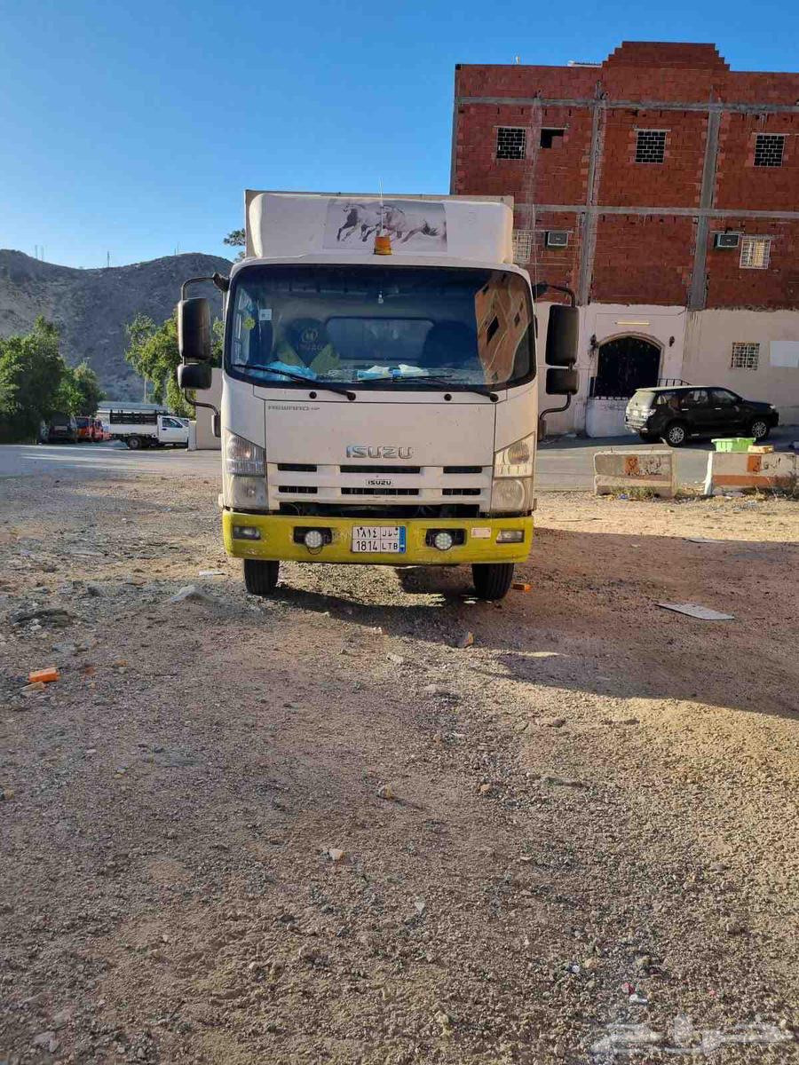 عربه نقل خيل64471006635009111