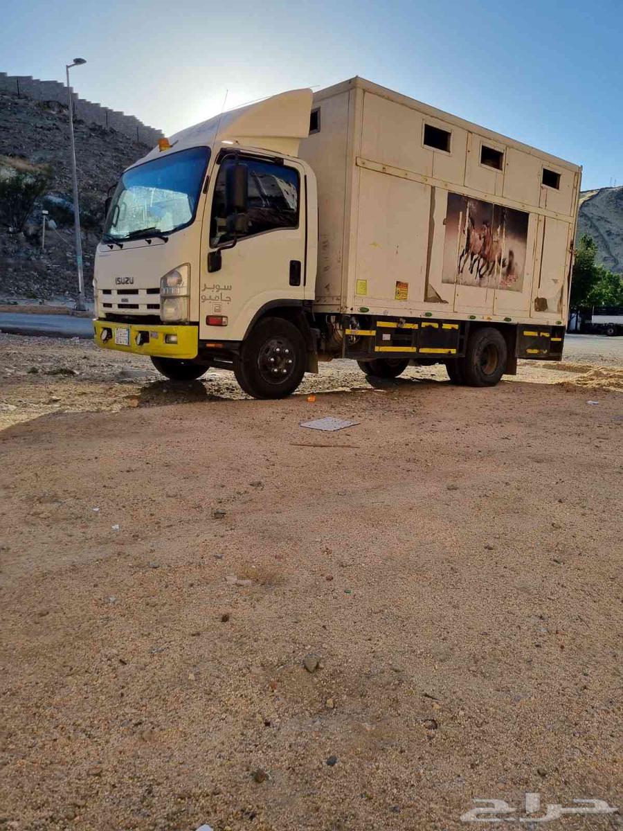 عربه نقل خيل64471006635009112