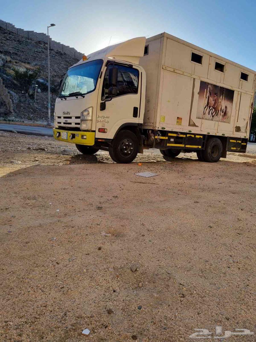 عربه نقل خيل64471006635009110